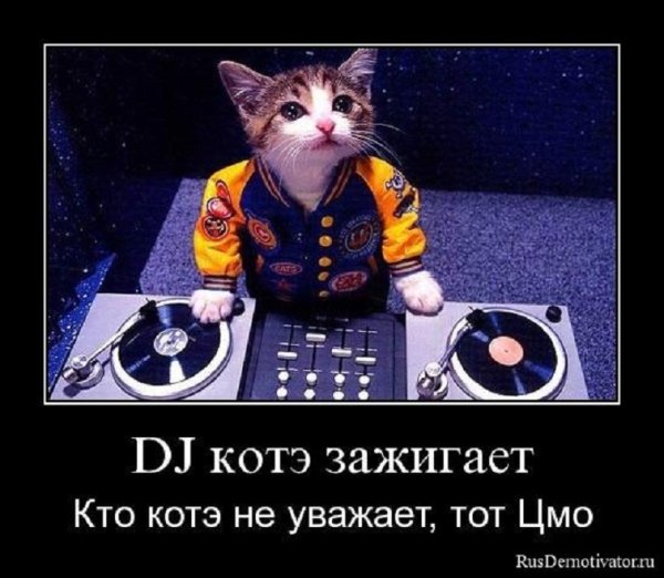 Котэ зажигает