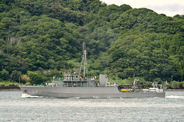 IMG viter59 MSC-601 JS Hirashima