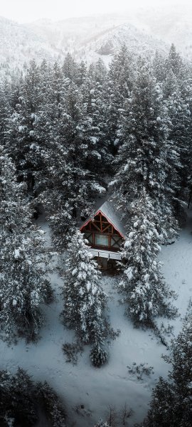 file_101486717