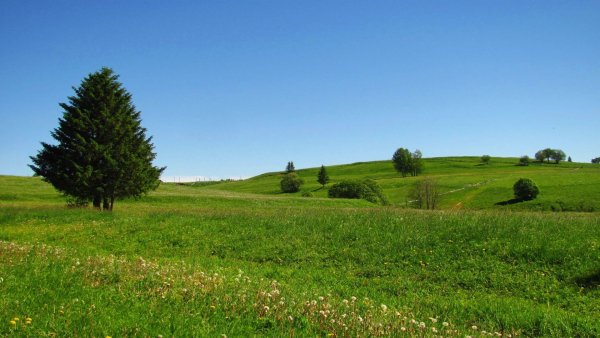 file_84012564