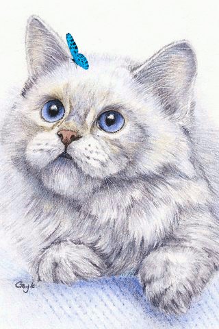 file_75245695