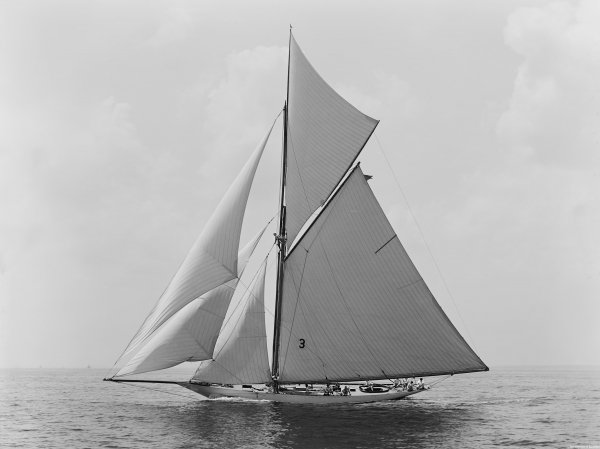 IMG viter59 1891 Gloriana