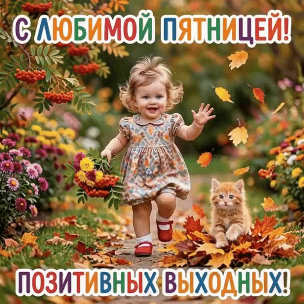 IMG 20260918 213340