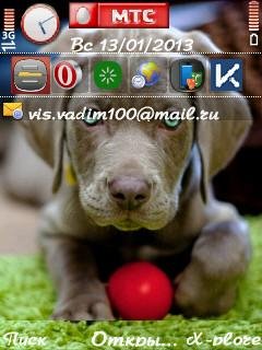 Cute Puppy With Red Ball