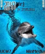 Dolphin 0 1