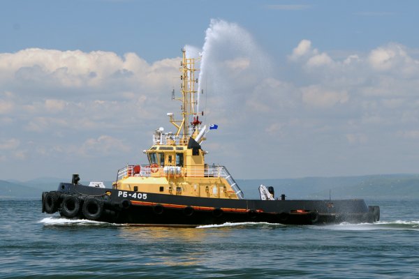 IMG viter59 140748