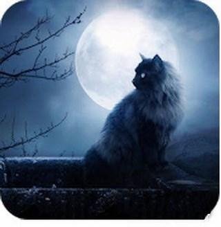 Страшные истории v1.7 AdFree
