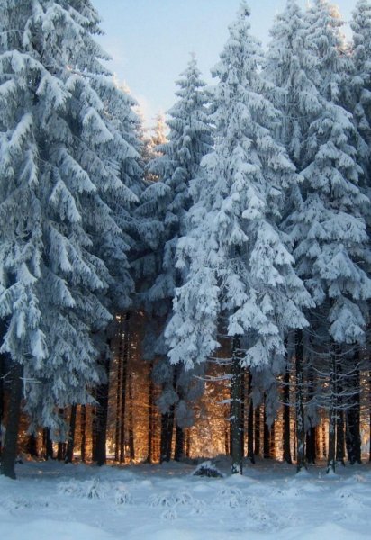 iroda-krasivo-foto-24