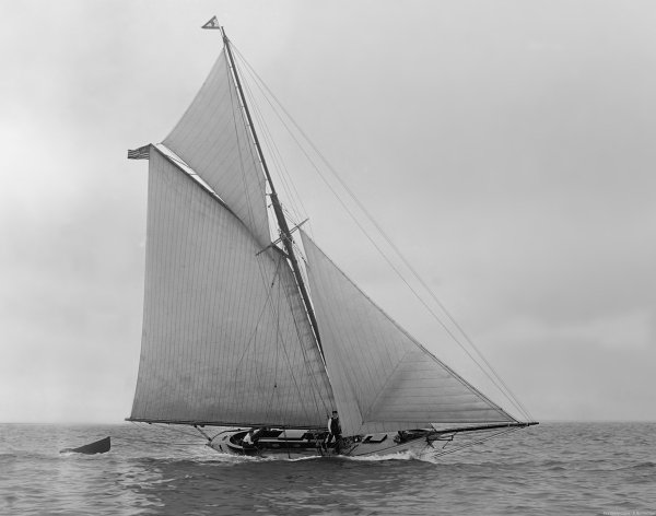 IMG viter59 Majorie