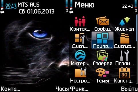 Black panter