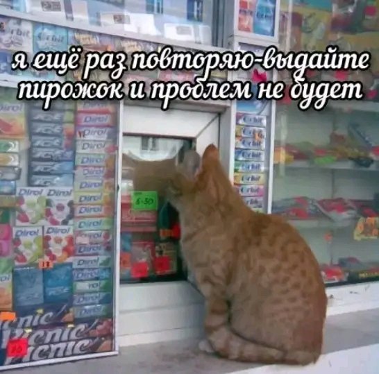 file_103551712