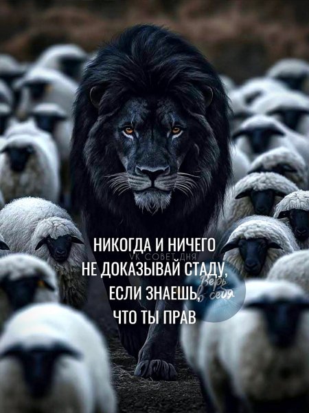 LH115ghoxx8kev8bNWl9je t49CzTbazBES7 8