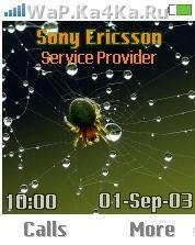 Spider