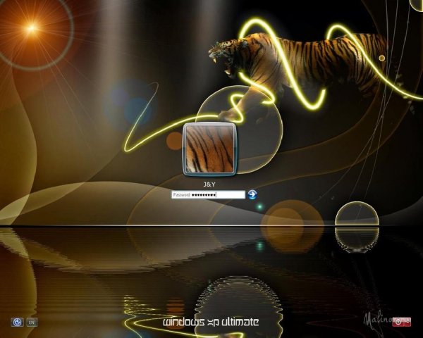 tiger fantasy xp logon by yournumbr1fan-