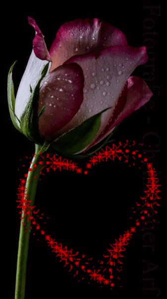 d8c690a028b49ebdc4ff09bdb96