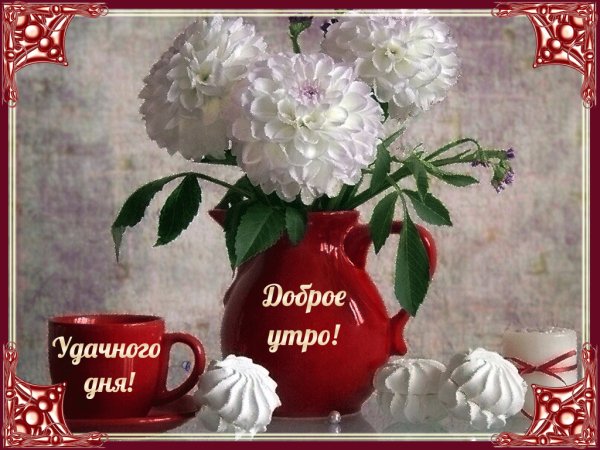 Доброе утро!Хорошего дня!