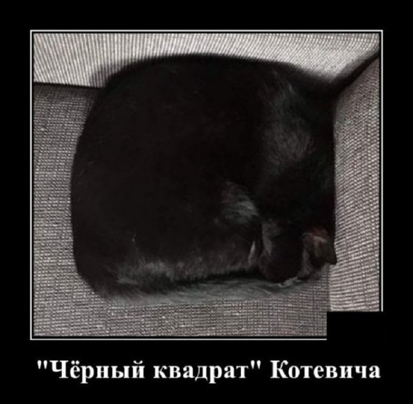Чёрный квадрат Котевича