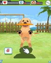 3D Dogz SAM 240x320