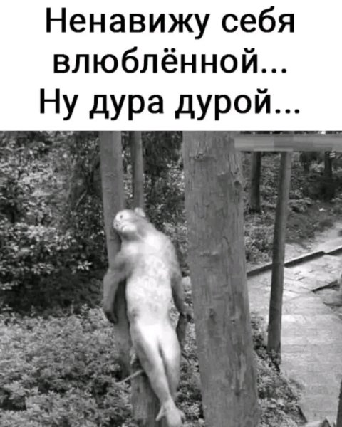 file_103527287