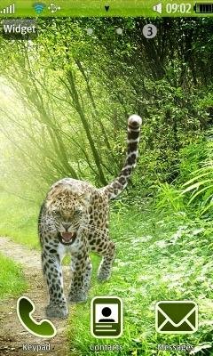 Jungle