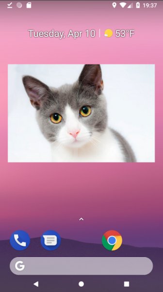 Biz no ip palaven photowidget v1.2