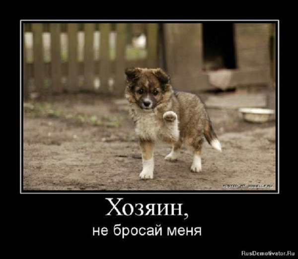 Не бросай меня