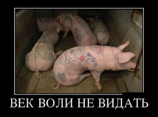 О КАК