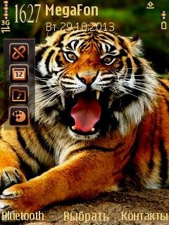 Tiger by Trewoga