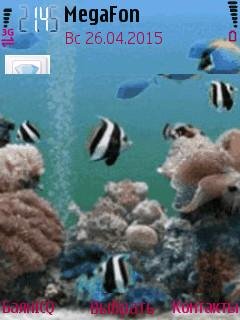 Animated aquarium анимация