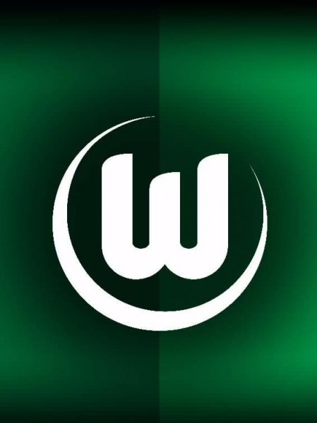 V.F.L Wolfsburg