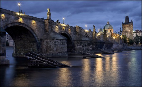 Image (50)