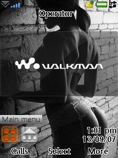The Wall