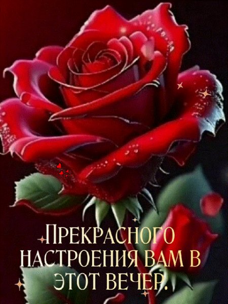 IMG 20240326 194323