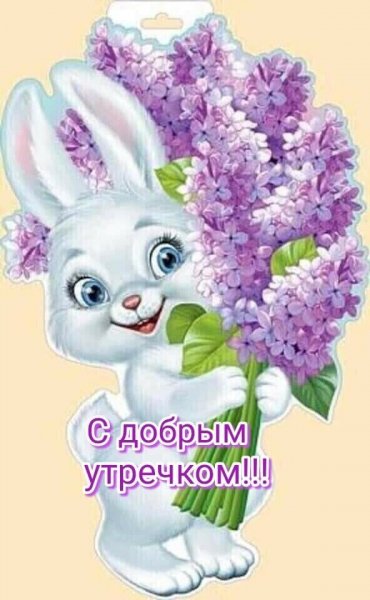С добрым утречком