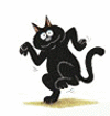 Cat.dance