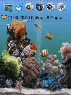 theme 651