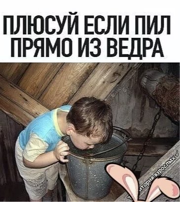 IMG 20250404 084751