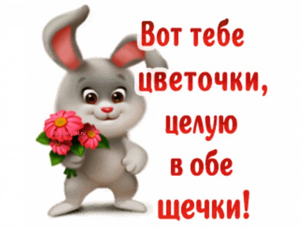 file_93446848