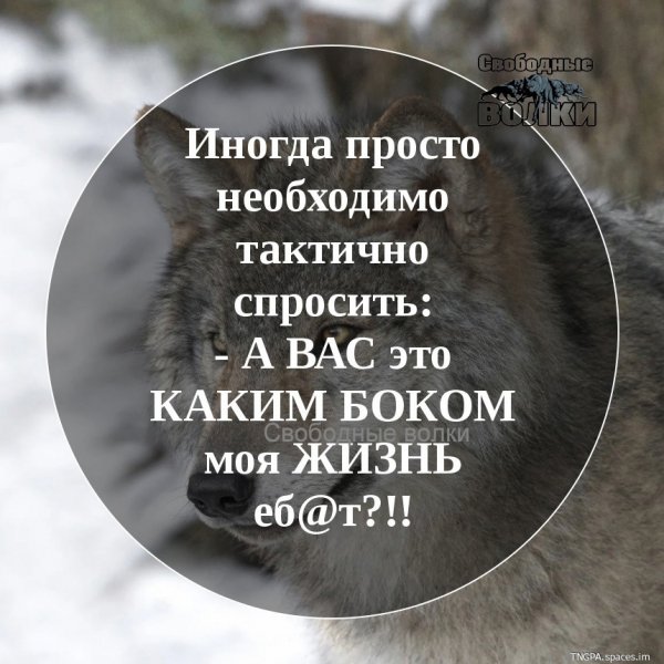 BC0T17SsOrY-