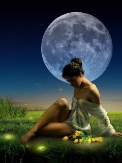 Evening 301