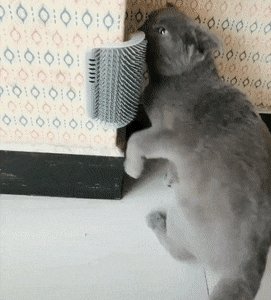 чесалка