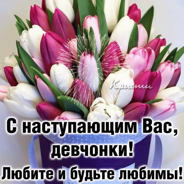 IMG 20210308 024916