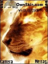 theme24167 1