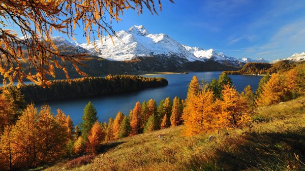 Desktop Wallpapers 4K Ultra HD176