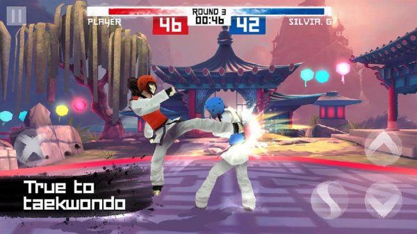 Taekwondo Game v.1.3.54225714