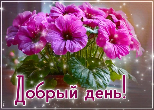 file_101439462
