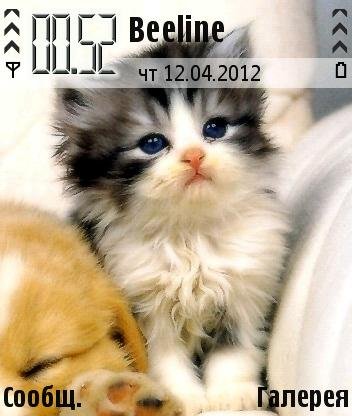 cute2520ca uezeeib7