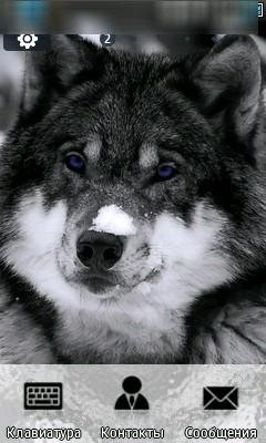 black-wite