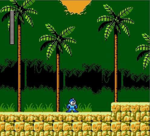 Megaman V
