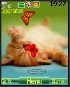 redhead-cat-animation-1